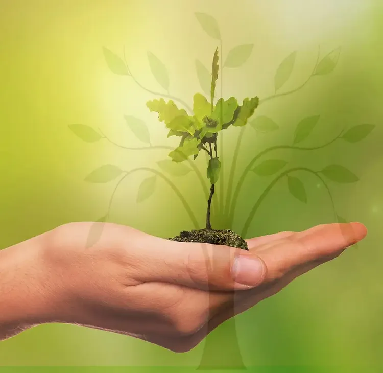 Zur Qualitätssicherung unserer Aufstellungsarbeit - Experimentelle Plattform - Aufstellungs-Labor und Intervisionsgruppe - The Good Solution GmbH - www.ch-aufstellungen.ch